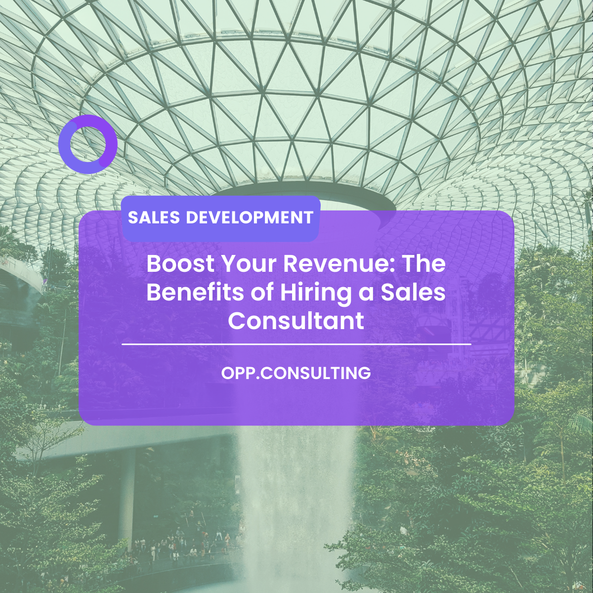 The Benefits of Hiring a Sales Consultant